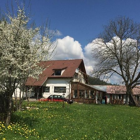 Karacsony Guest House Lunca de Sus Εξωτερικό φωτογραφία
