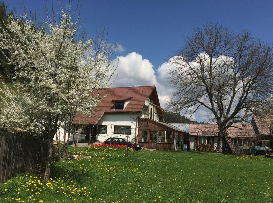 Karacsony Guest House Lunca de Sus Εξωτερικό φωτογραφία